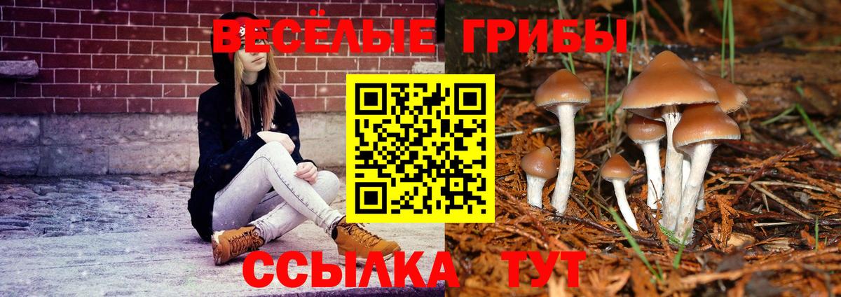Псилоцибиновые грибы Psilocybine cubensis Югорск